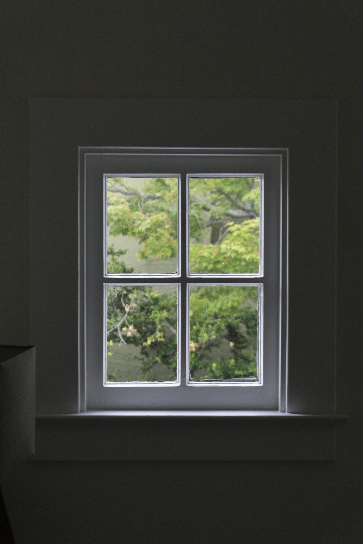 A sealed window in a dark room, with green trees visible outside